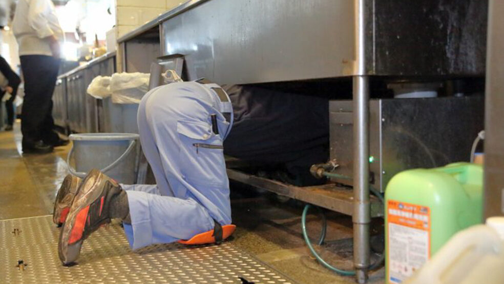 巣や侵入経路発見