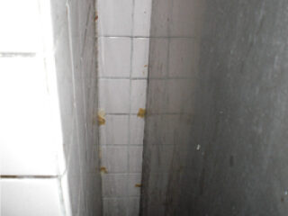 巣になっている箇所に直接FCCコーキング材を施工