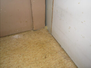 安全なFCCコーキング材を床の隙間やベットの裏側などに慎重に施工