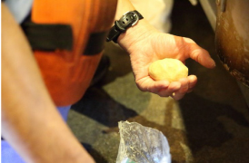 コーキング材施工