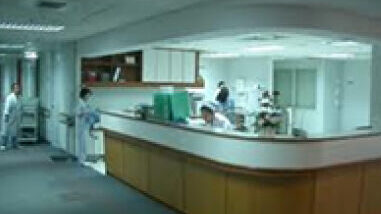 ゴキブリって本当にいなくなるんですね