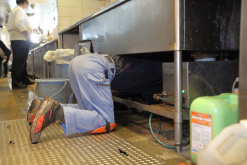 ゴキブリの卵や糞を除去