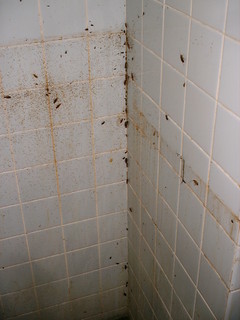 寒くなっても、まだまだ・・・ 2