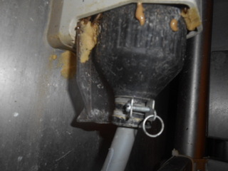 コンセントの発生 2