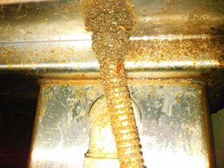 意外な温かい場所 2