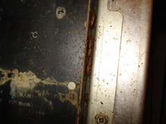 ゴキブリの季節がやってきました 2