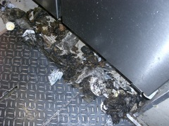 ビニールゴミ 2